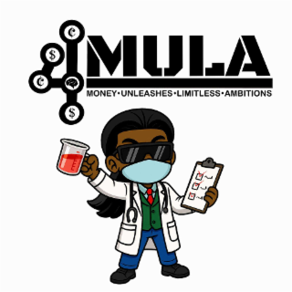 4mula money.unleashes.limitless.ambtions
