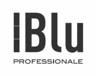 blu professionale