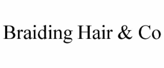 braiding hair & co