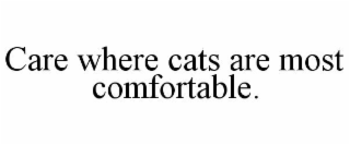 care where cats are most comfortable.