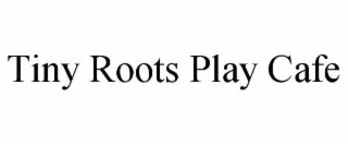 tiny roots play cafe