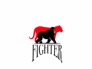 fighter