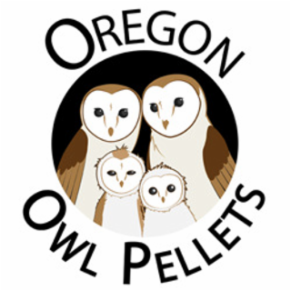 oregon owl pellets
