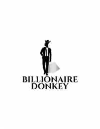 billionaire donkey
