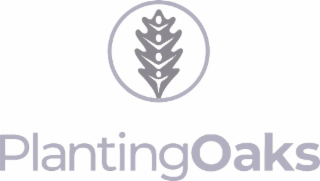 planting oaks