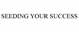 seeding your success