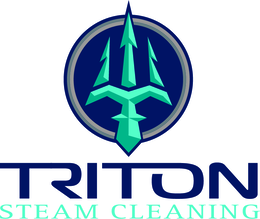 triton steam cleaning
