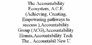 the accountability ecosystem, a.c.e. (achieving, creating, empowering pathways to succuss ),accountability group (acg),accountability homes,accountability tech the , accountabil new u