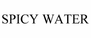 spicy water