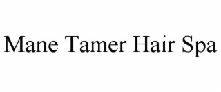 mane tamer hair spa