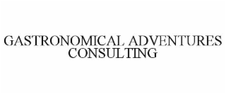 gastronomical adventures consulting
