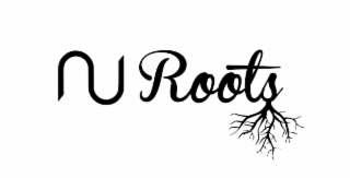 nu roots