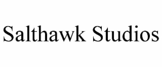 salthawk studios