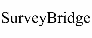 surveybridge