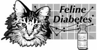 feline diabetes
