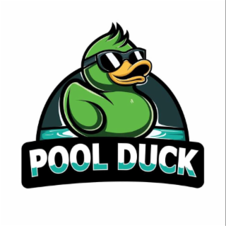 pool duck