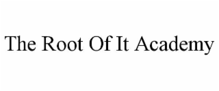 the root of it academy