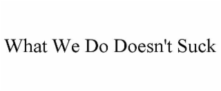 what we do doesn't suck