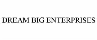 dream big enterprises