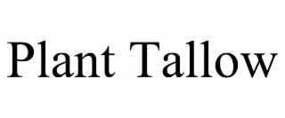 plant tallow