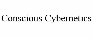 conscious cybernetics