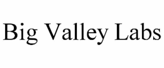 big valley labs