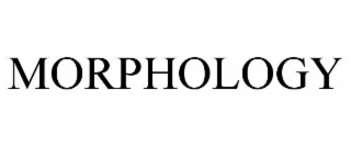 morphology