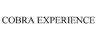 cobra experience