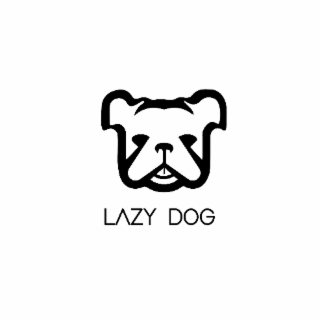 lazy dog