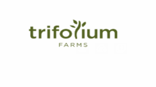 trifolium farms