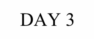day 3
