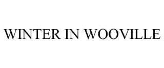 winter in wooville