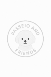 passeio and friends