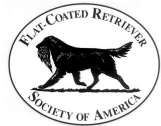 america society retriever of flat-coated