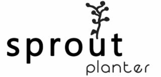 sprout planter