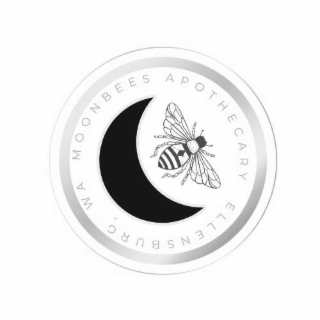 moonbees wa apothecary ellensburg