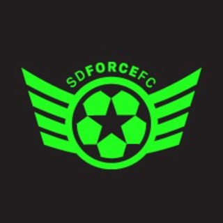 sdforcefc