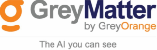 grey matter by greyorange the ai you can see