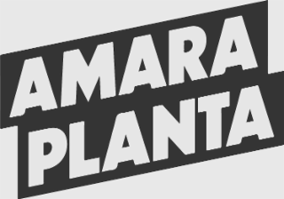 amara planta