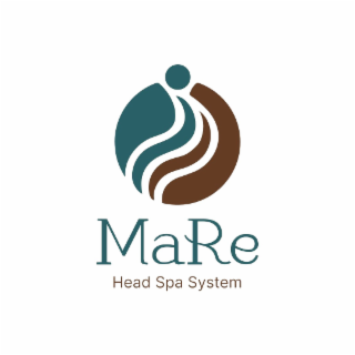 mare head spa system