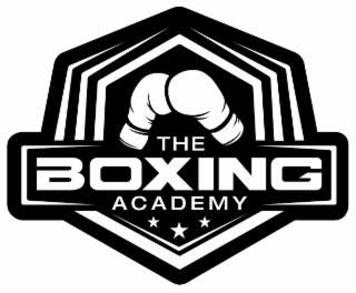 the boxing academy