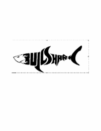 bull shark