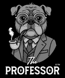 the professor