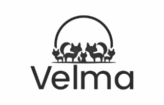 velma