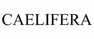 caelifera