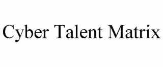 cyber talent matrix