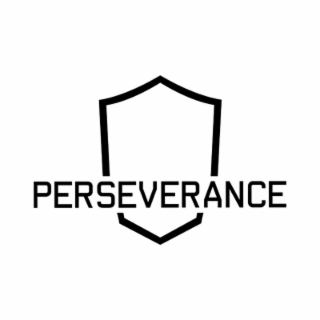perseverance
