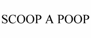 scoop a poop