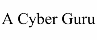 a cyber guru