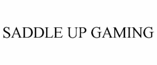 saddle up gaming